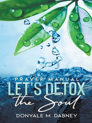 cover image of Let's Detox the Soul